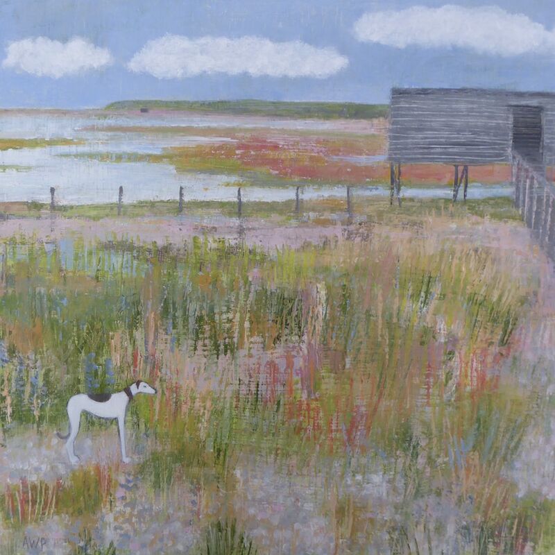 Spotty Greyhound at the Nature Reserve