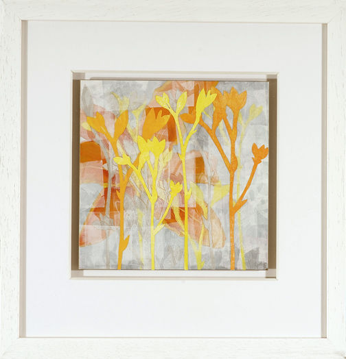 Daylily