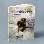 Bumblebees an introduction