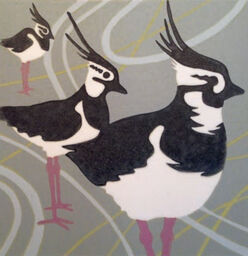 Field Trip ( Lapwings)