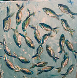 IMG 3600- -for-website