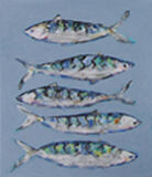 Mackerel
