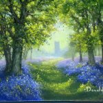 Bluebells 1A