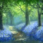 Bluebells 1B