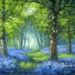 Bluebells 4B