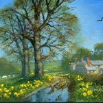Daffs 3