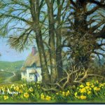 Daffs 4