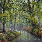Woodland Stream 2