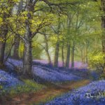 Bluebells 2B