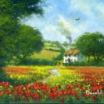 Poppies 1
