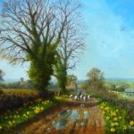Spring Daffodils