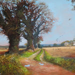 Winter Fields