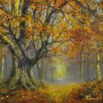 Autumn Beeches