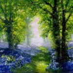 Bluebells 3