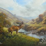 Stag Roaring