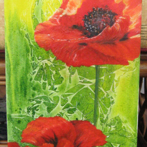 Poppies. Oil with acrylic background. £60