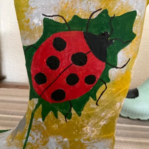 Ladybird welly