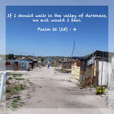 LBP - Psalm 22 (23) : 4
