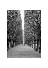 Paris - Palais Royal avec falle