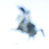 Lost in Light 4 - Vienna