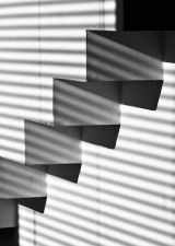 M.C. Escher de nos jours