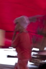 Où sont les poissons rouges?