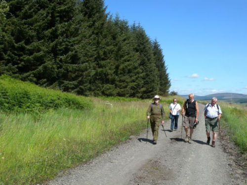Walking in open country near Newcastleton, Scottish Borders.