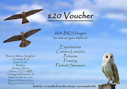 £20 Voucher