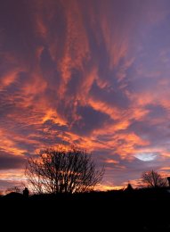 "Altoculumus SunRise"