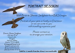 Pet or Family Portrait voucher