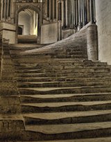 Competition Winners 'Stairs/Escalators ' May 2015