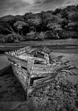 Commended 'Hull' Rachael Domleo