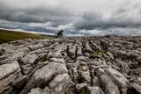 Lime Stone Pavement above Malham