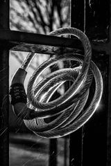 HC  "Coiled" by Jeff McKinstry