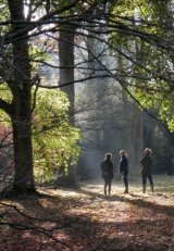 Highly Commended 'Meeting in the Glade' Janet Woodsford