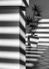 Commended 'Parallel Shade' by Rachel Domleo