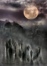 Second Place 'Moon Shadow' by Rachel Domleo