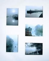 Second Place 'Mist' by Bruce Gibbs