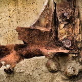 Nutts and Bolts by Anita Fullerton