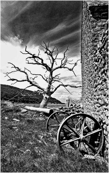 Commended 'Succombed  Shergold Age' by Roy