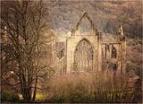 Commended 'Tintern Abbey' by Anita Fullerton AFIAP
