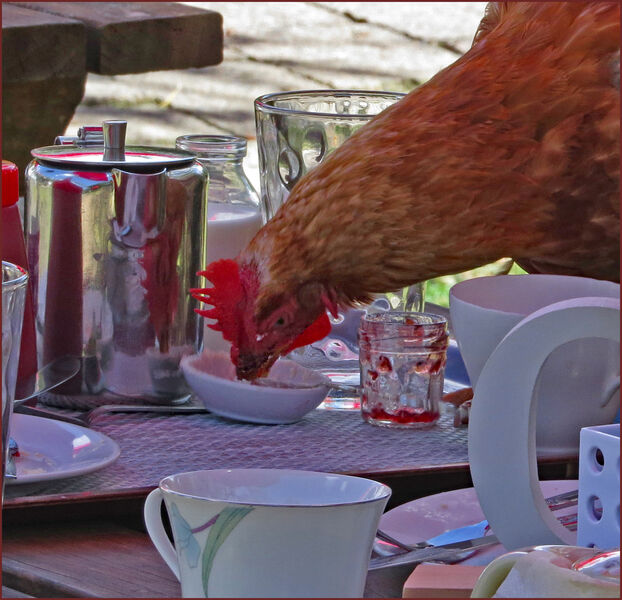 Commended 'In a Jam' by Mary Osborn