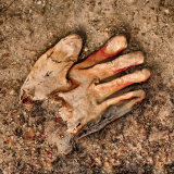 The Old Glove by Rachel Domleo