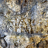 Highly Commended 'Raindrops on Rocks' by Anita Fullerton