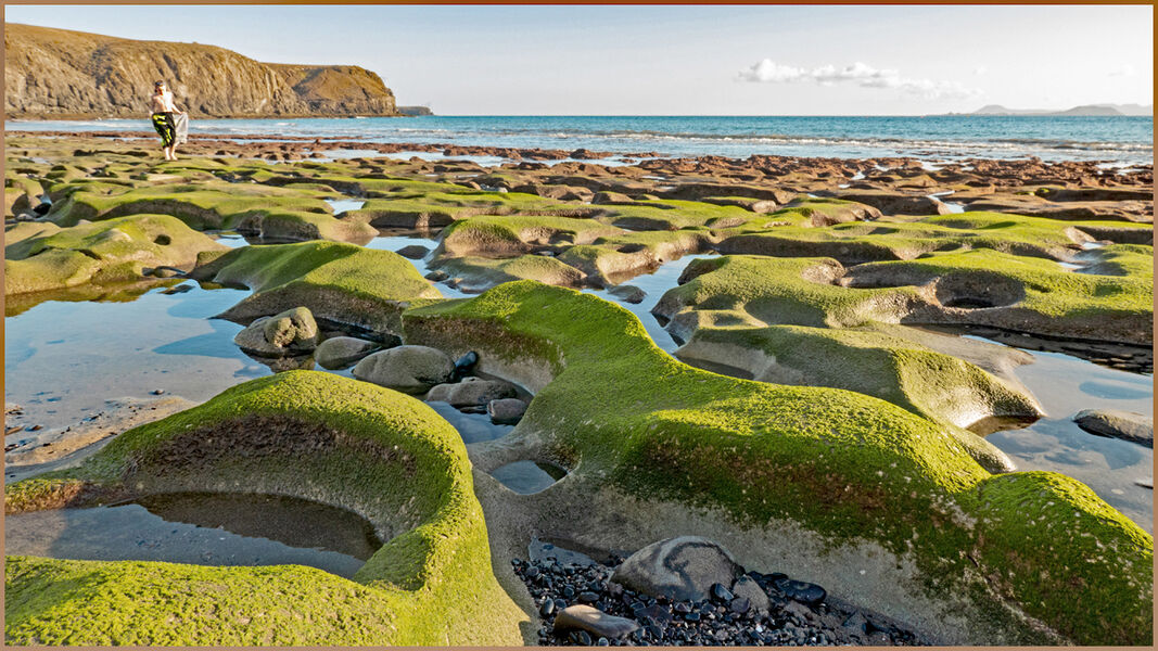 Highly Commended 'Seaside Patterns' by Mary Osborn