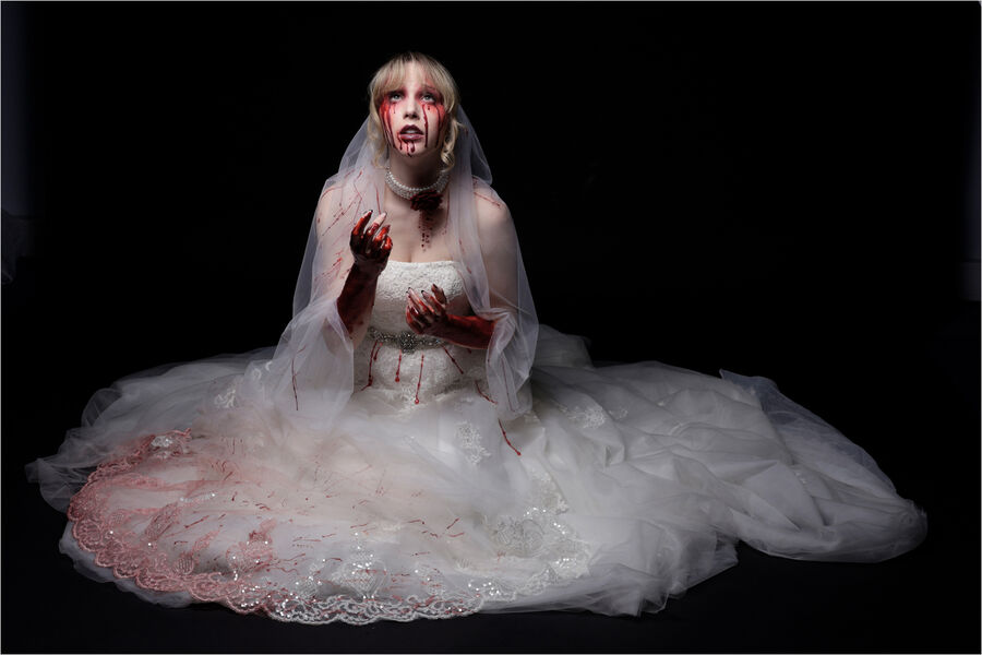 Highly Commended 'What Have I Done' by Anita Fullerton AFIAP