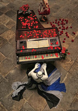 1st  "The Piano" by Rachel Domleo.