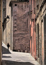 HC  "Out in the town" by Rachel Domleo.