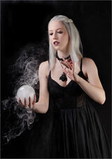 Highly Commended 'Chrystal Ball Gazing' by Anita Fullerton