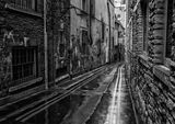 HC "Leonard Lane" by Brian Kinsman. .